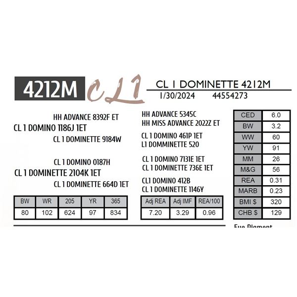 CL 1 DOMINETTE 4212M