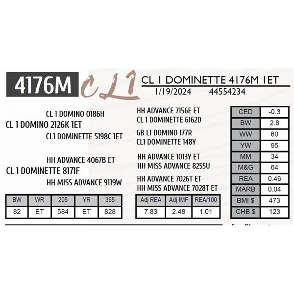 CL 1 DOMINETTE 4176M 1ET