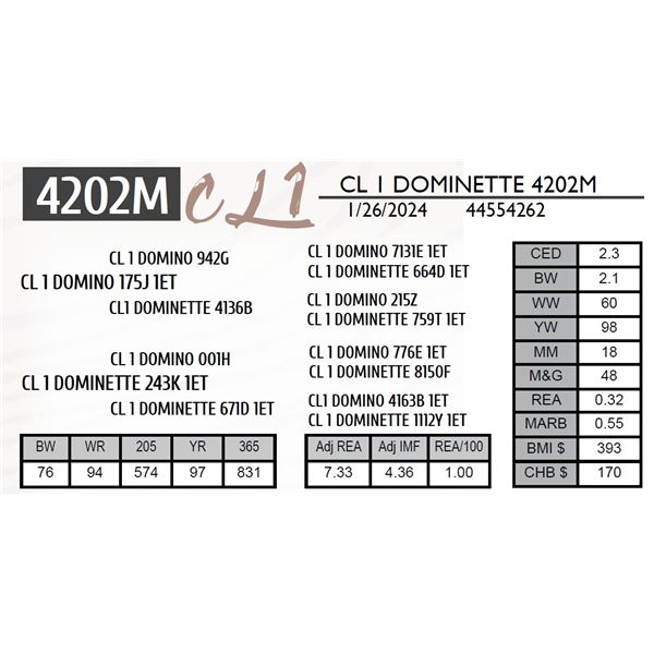 CL 1 DOMINETTE 4202M