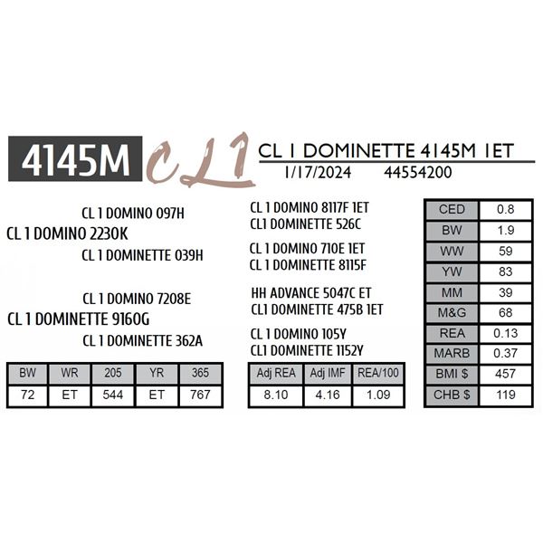 CL 1 DOMINETTE 4145M 1ET