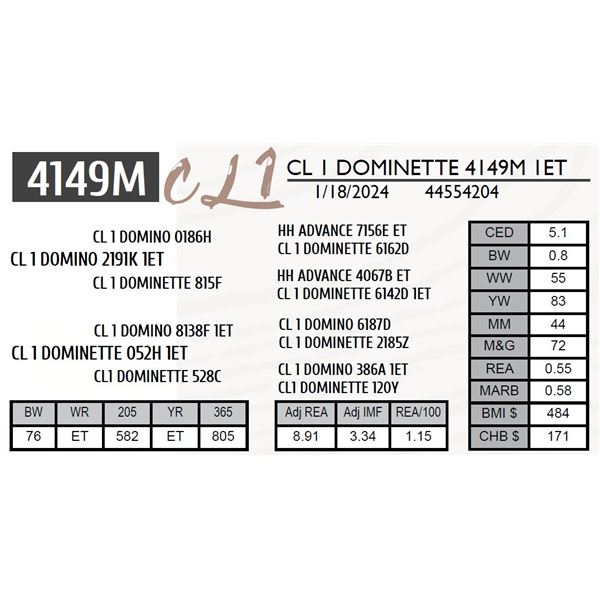 CL 1 DOMINETTE 4149M 1ET
