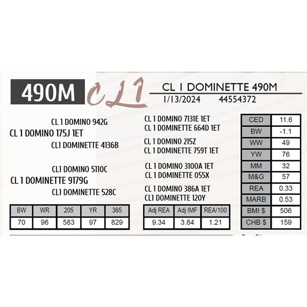 CL 1 DOMINETTE 490M