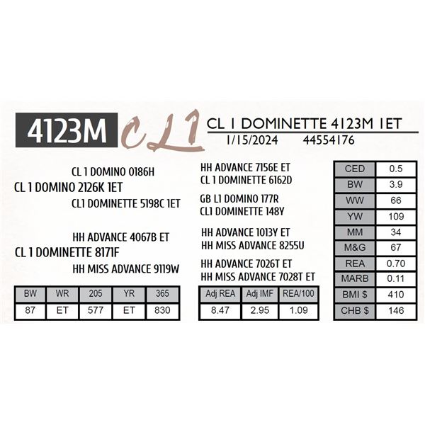 CL 1 DOMINETTE 4123M 1ET