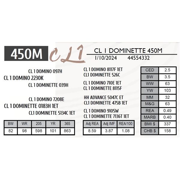 CL 1 DOMINETTE 450M