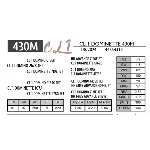 CL 1 DOMINETTE 430M