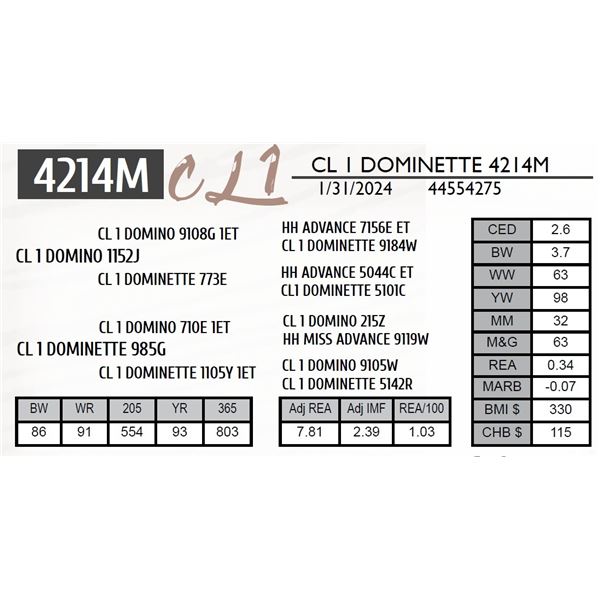 CL 1 DOMINETTE 4214M
