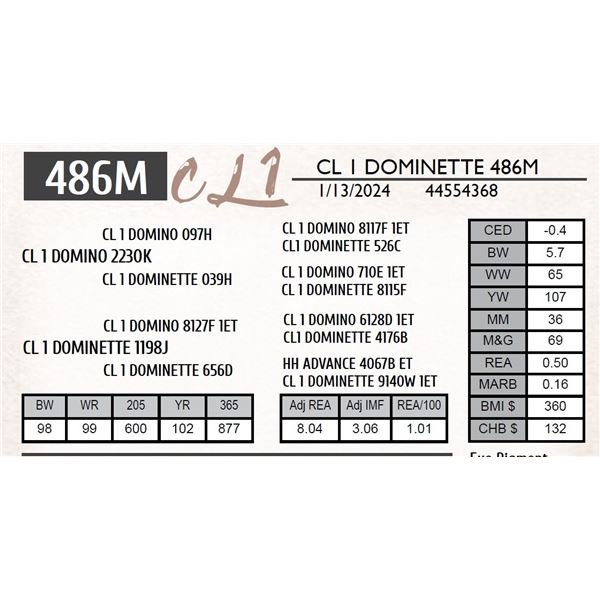 CL 1 DOMINETTE 486M