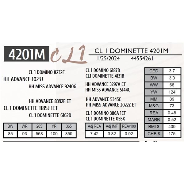 CL 1 DOMINETTE 4201M