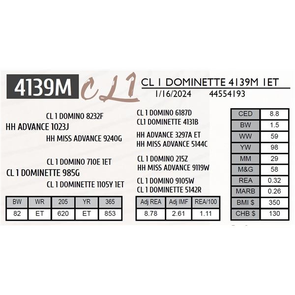 CL 1 DOMINETTE 4139M 1ET