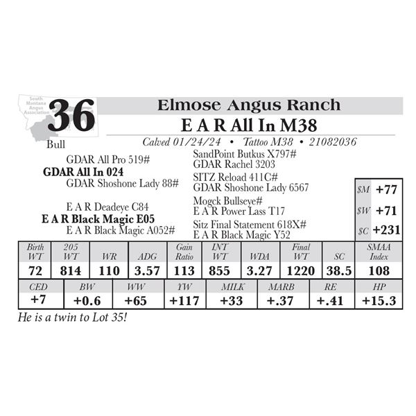 E A R All In M38