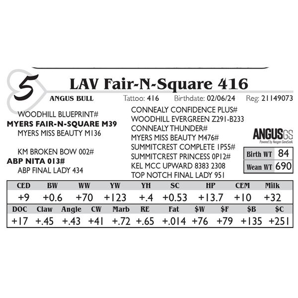 LAV Fair-N-Square 416