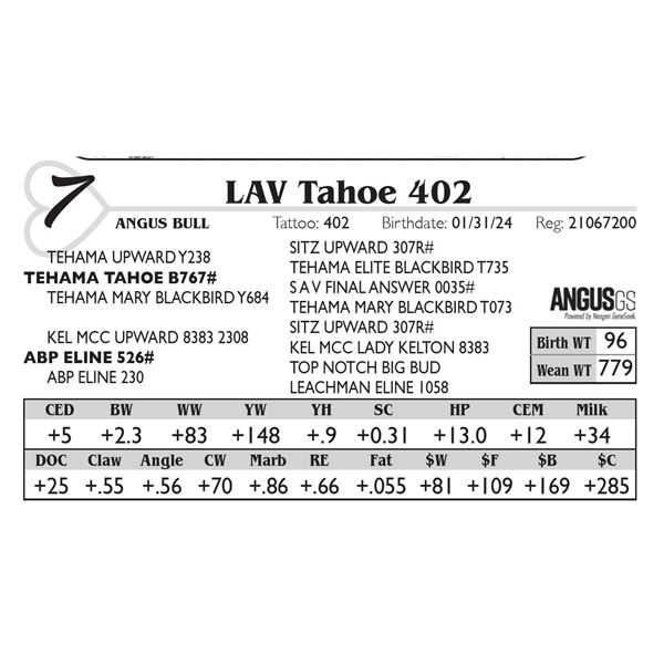 LAV Tahoe 402