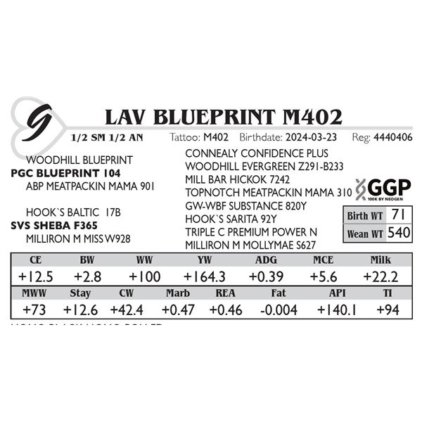 LAV BLUEPRINT M402