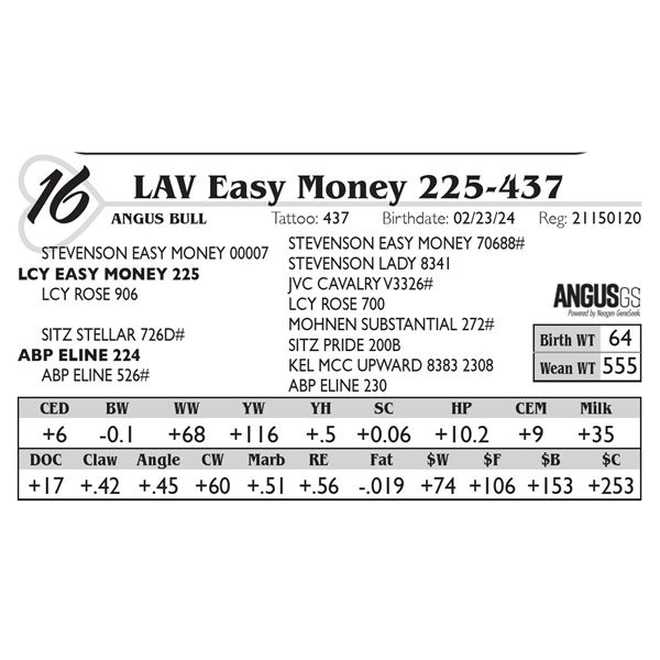 LAV Easy Money 225 - 224