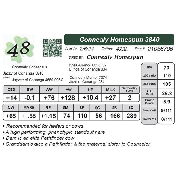 Connealy Homespun 3840