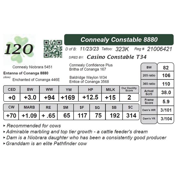 Connealy Constable 8880