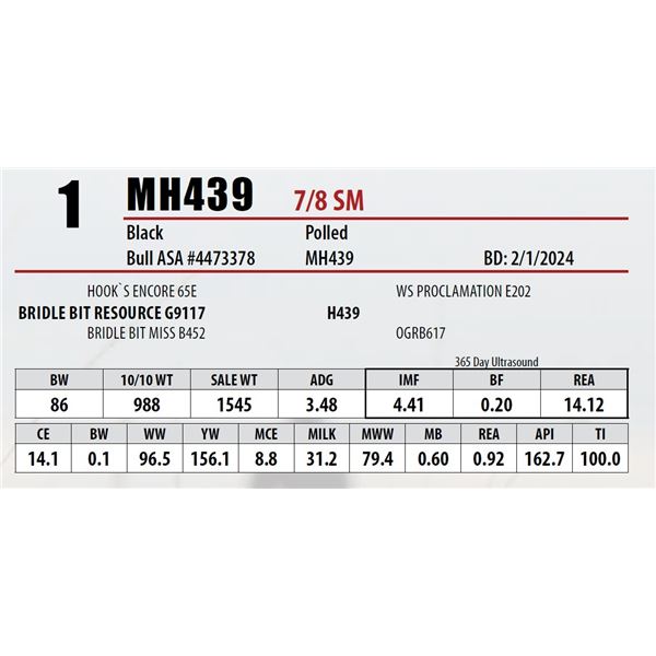 MH439