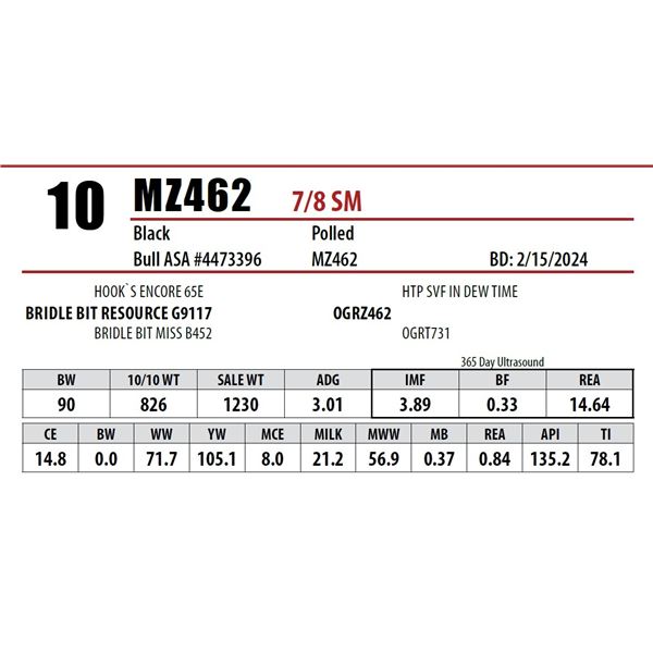 MZ462