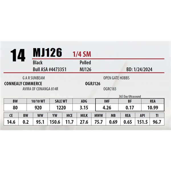 MJ126
