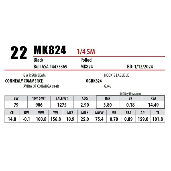 MK824
