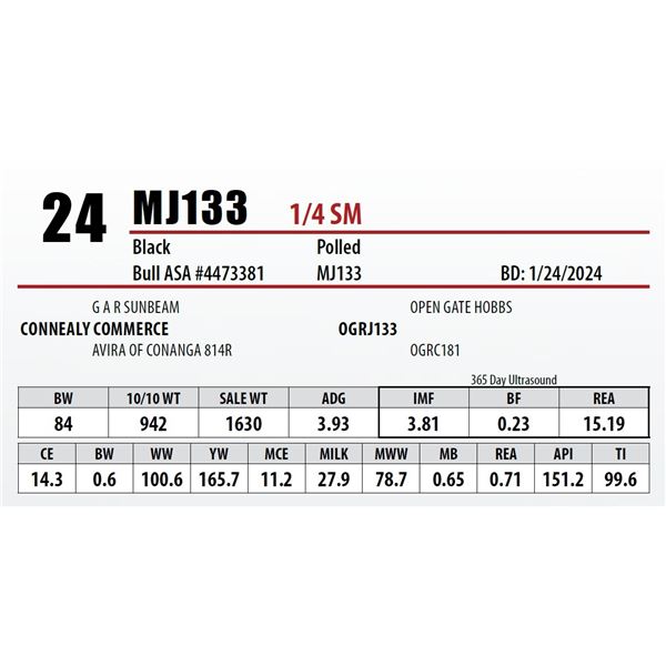 MJ133