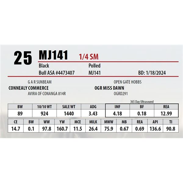 MJ141