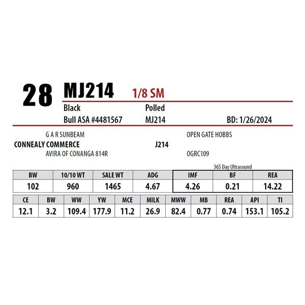 MJ214