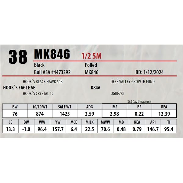 MK846