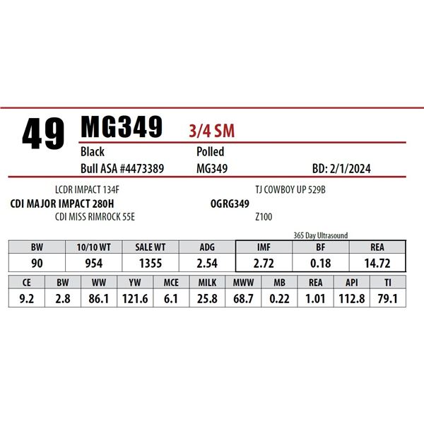 MG349