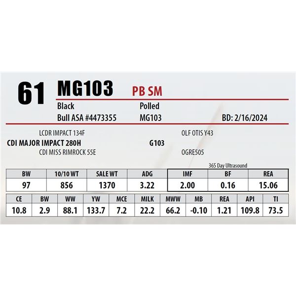 MG103