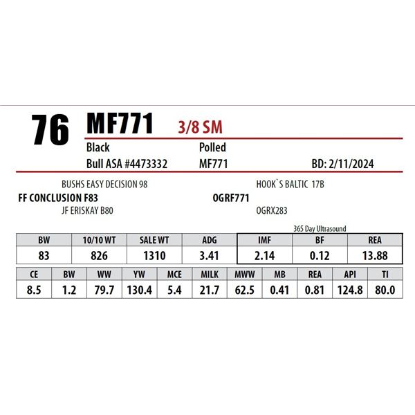 MF771