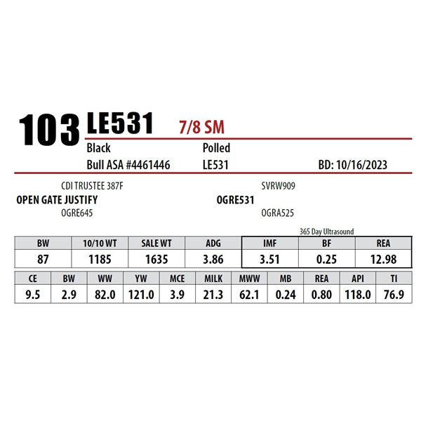 LE531