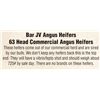 Image 1 : 61 Head Commercial Heifers (721 LBS)