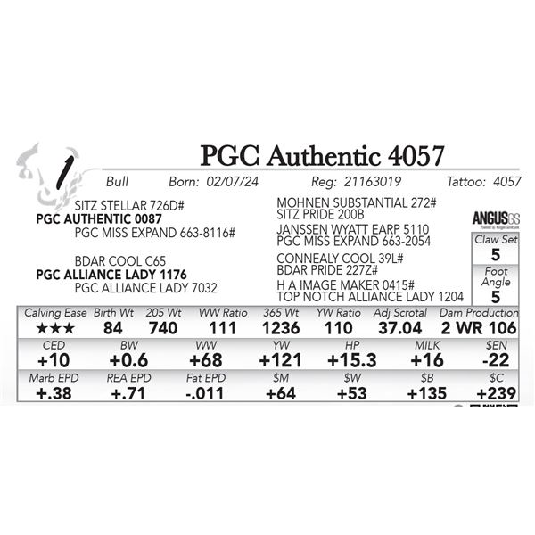 PGC Authentic 4057