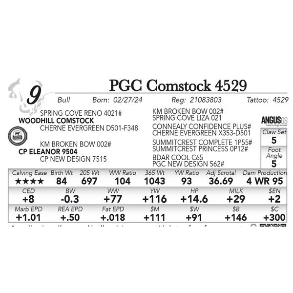 PGC Comstock 4529