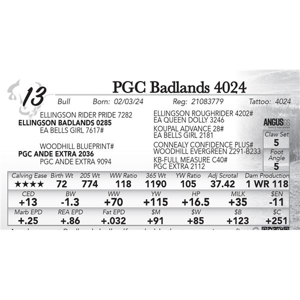 PGC Badlands 4024