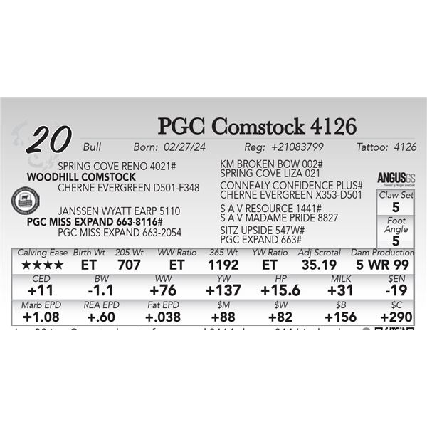 PGC Comstock 4126