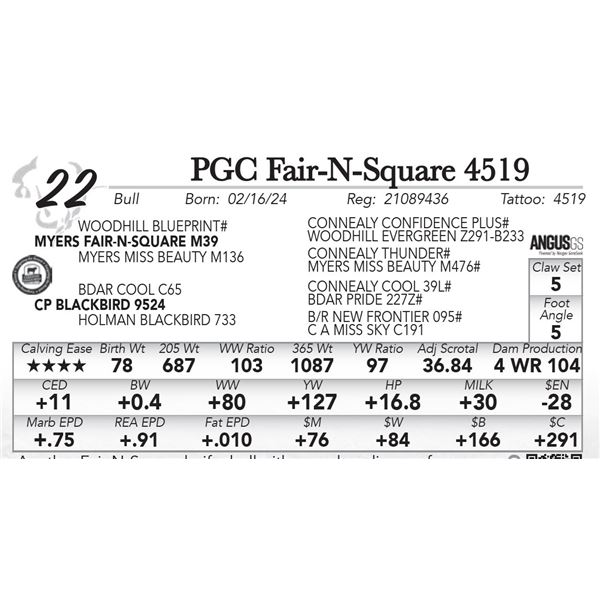 PGC Fair-N-Square 4519