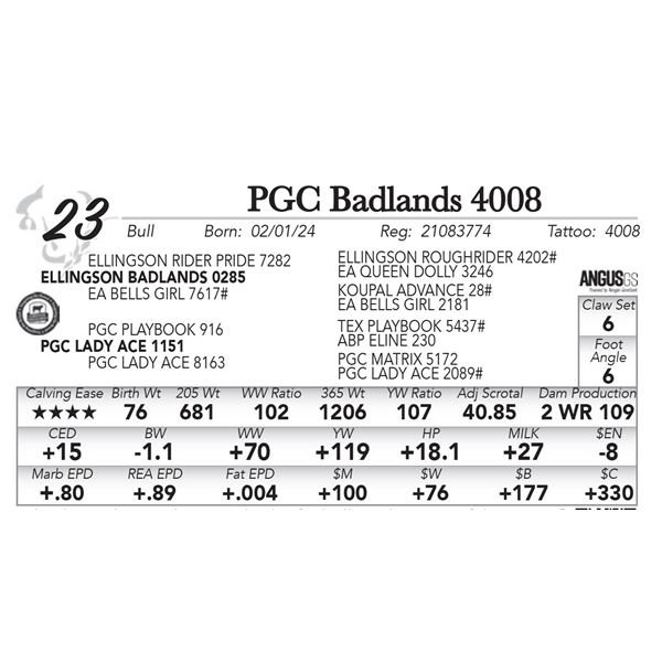 PGC Badlands 4008