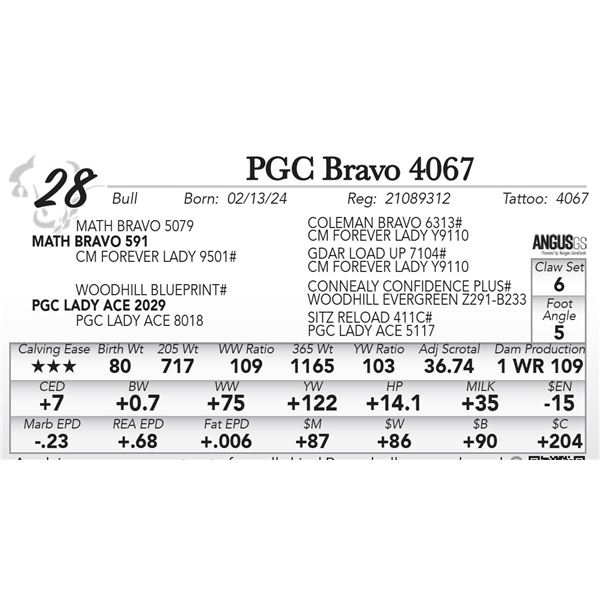 PGC Bravo 4067