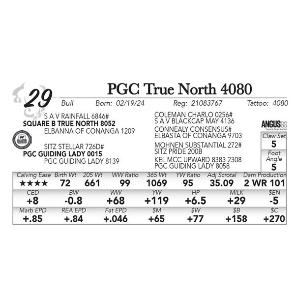 PGC True North 4080