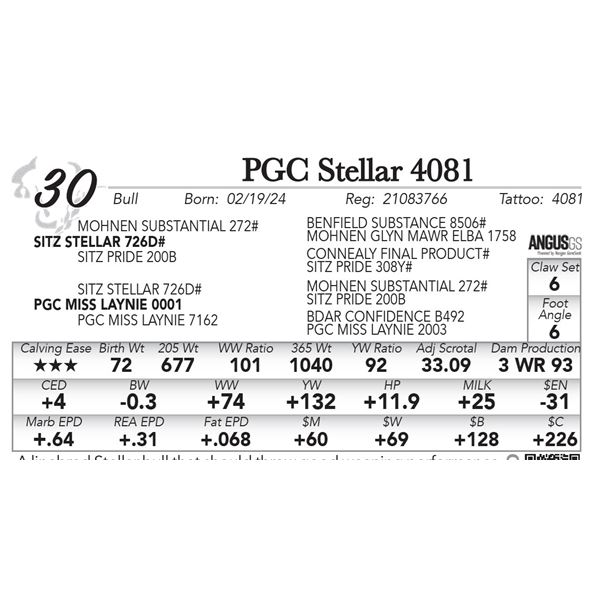 PGC Stellar 4081