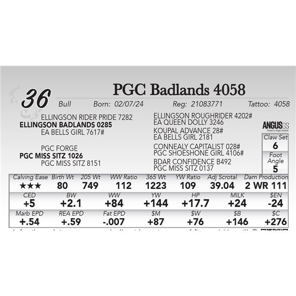 PGC Badlands 4058