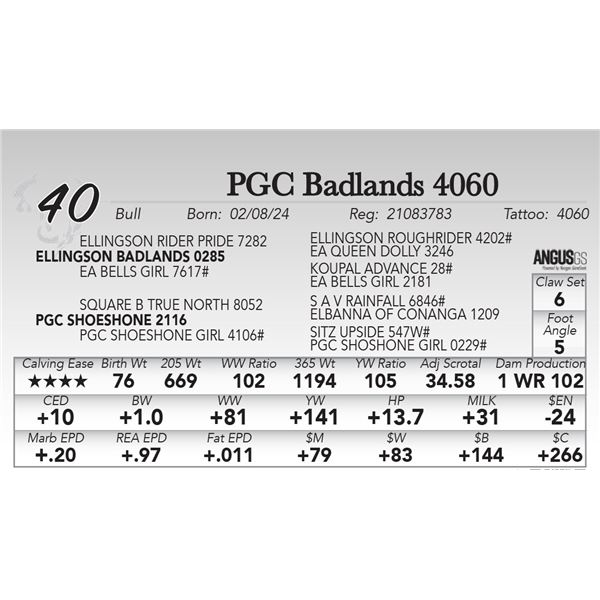 PGC Badlands 4060