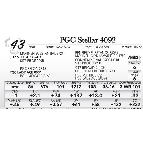 PGC Stellar 4092