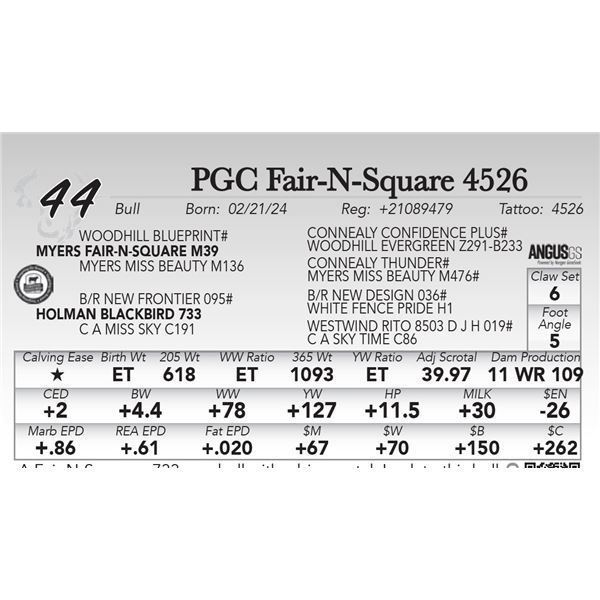 PGC Fair-N-Square 4526