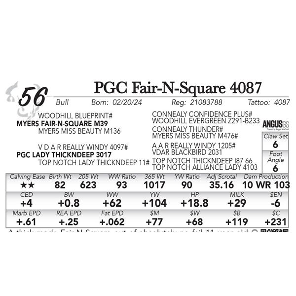 PGC Fair-N-Square 4087