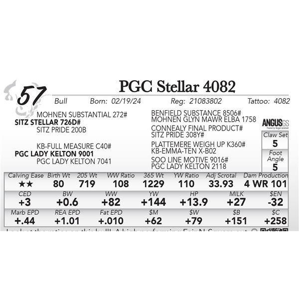 PGC Stellar 4082