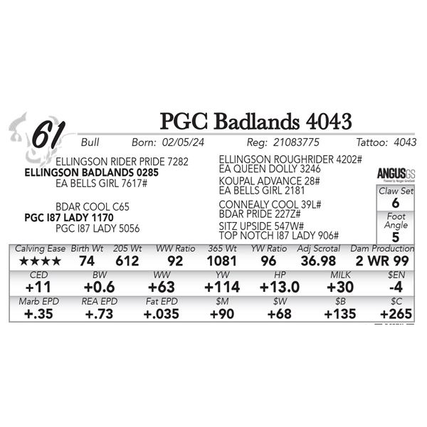 PGC Badlands 4043