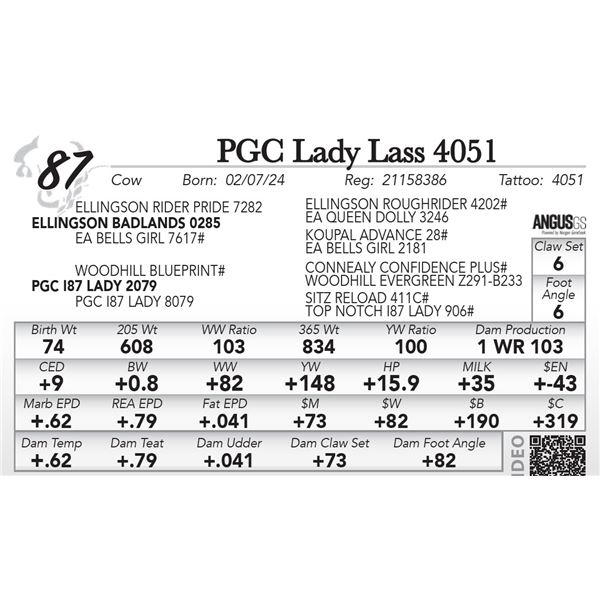 PGC Lady Lass 4051